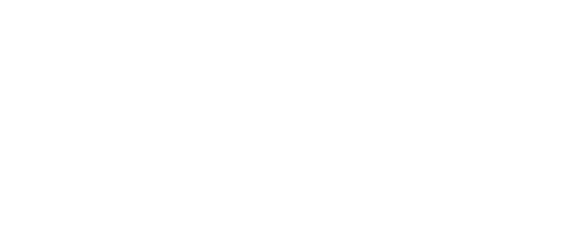 YoungNetwork Group